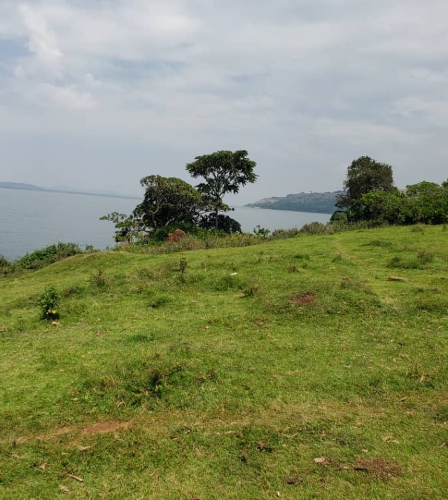 WhatsApp Image 2022-07-15 at 8.55.35 PM.jpeg